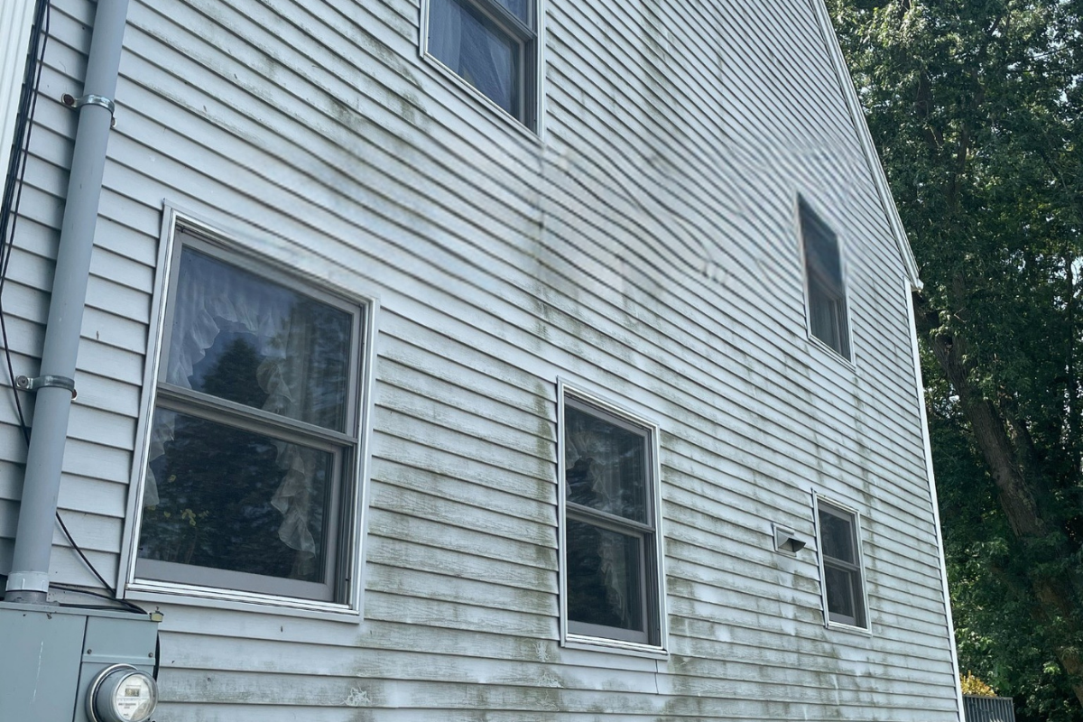 House Before Softwashing